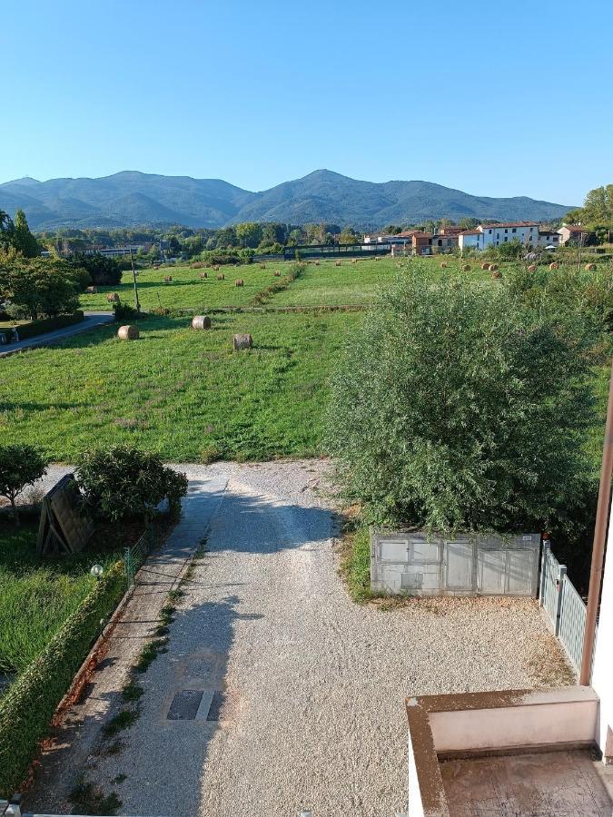 Appartement Casa Degli Aromi à Lucques Extérieur photo
